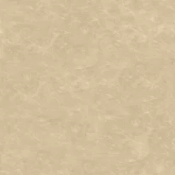 2pk Bowden Faux Leather And Metal Dining Chairs Natural - Project 62™ -Best Household Products GUEST 0d6e1b42 49a9 4398 915f e3357eb3f975