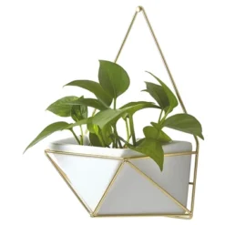 Succulent Wall Geometric Hanging White/Gold - Project 62™ -Best Household Products GUEST 2836534e daff 4fb8 8ad7 0f482e939ebb